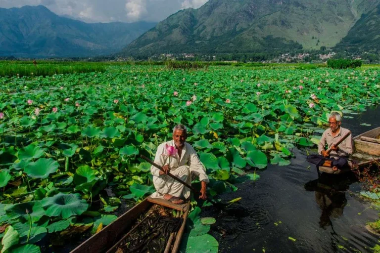 Is It Safe To Travel To Kashmir
